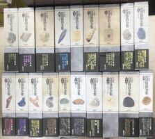 新校本 宮澤賢治全集を入荷いたしました!! |日本特価書籍 新校本 宮澤賢治全集を入荷いたしました!! |日本特価書籍