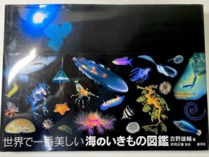 海のいきもの図鑑