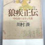 狼疾正伝